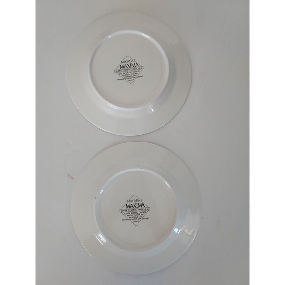 Mikasa Maxima  EXOTIC GARDEN  Fine China 8" Dessert Or Salad  Plates (2) - Picture 2 of 3